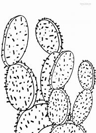 Image result for Desert Cactus Coloring Page