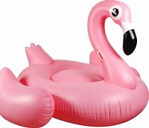 Image result for Inflatable Flamingo Float