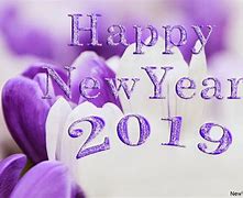 Image result for Happy New Year 2019 Funny Meme