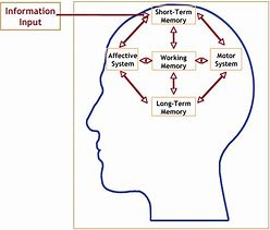 Image result for Memory Psychology Illustrated Diagram