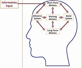 Image result for Psychology Memory Theories