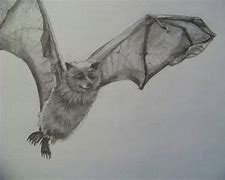 Image result for Painting of Bat Wings