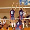 Image result for Volleyball Net and Ball