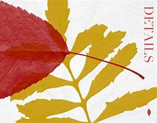 Image result for Leaves Brush Photoshop