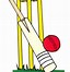 Image result for Cricket Bowler with White Background