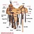 Image result for Western Horse Tack Diagram