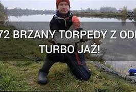 Image result for co_to_za_Żywe_torpedy