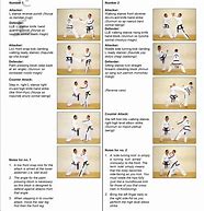 Image result for Martial Arts Sparring Tree
