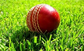 Image result for Cricket Match Product Images