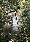 Image result for Moss Rock Preserve