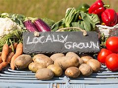 Image result for Local Organic Farms