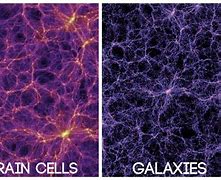 Image result for Universe Is a Giant Brain