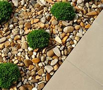 Image result for White Gravel and Lime Plants