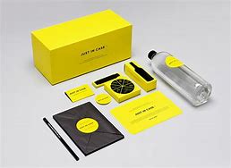 Image result for Ipgone 13 Mini Packaging