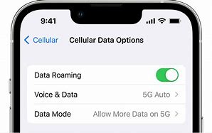 Image result for iPhone Mobile Data Option