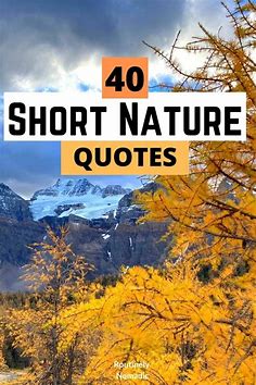 40 Short Nature Quotes: Inspirational Thoughts on Nature | Routinely Nomadic