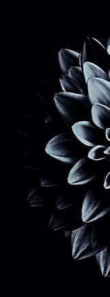 Image result for Black Floral Phone Wallpaper