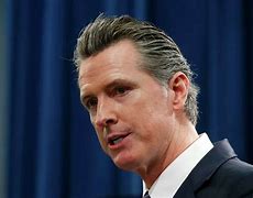 Image result for Gavin Newsom for President Campaign Signs