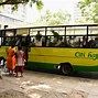 Image result for Untamed Citi Hoppa Bus