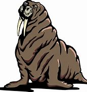 Image result for Walrus Fan Art