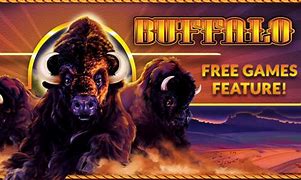 Image result for Buffalo Game