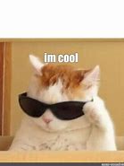 Image result for I'm Cool Memes Baby