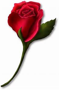 Image result for Single Red Rose Black Stem Clip Art
