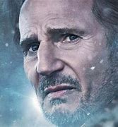 Image result for Liam Neeson Movies