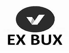 Image result for Goldx