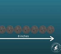 Image result for How Long Is 8 Inch