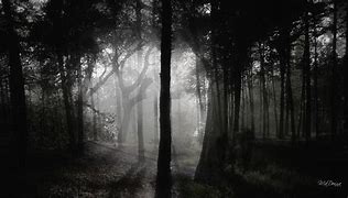 Image result for Dark Gothic Forest