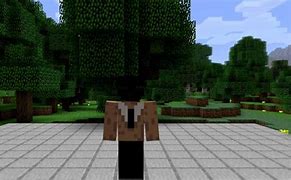 Image result for Invisible Man Minecraft Skin