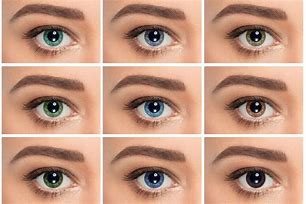 Image result for Real Eye Color Chart