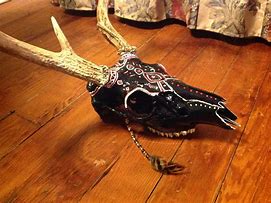 Image result for Deer Skull with Jaw