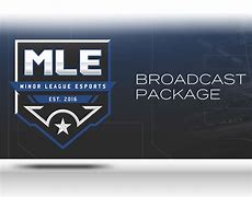 Image result for Minor League eSports