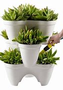 Image result for Quirky Plant Pots