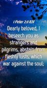 Image result for 1 Peter 2:11