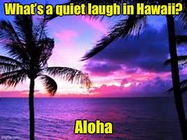 Image result for Hawaii Meme
