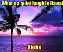 Image result for Aloha Meme