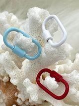 Image result for Carabiner Screw