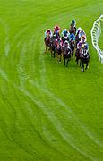 Image result for Andrew Wiltshire Horse Racing