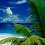 Image result for Tropical Beach Paradise Wallpaper for iPhone