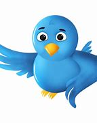 Image result for Twitter Bird PNG