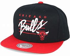 Image result for Chicago Bulls Cursive Logo