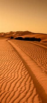 Image result for Desert Landscape Wallpaper iPhone