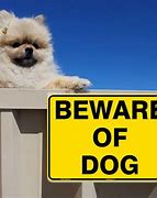 Image result for Funny Beware Dog Signs