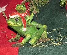 Image result for Holiday Frog
