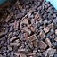 Image result for Homemade Fudge