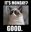 Image result for Monday Morning Memes