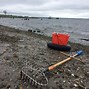 Image result for Rhode Island Clam Rakes